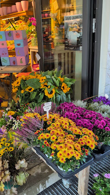 Blumen Früchte Pröbstl