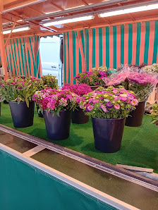 Blumenhandel Inge von Seelen