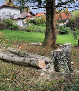Gartenpflege Ernst