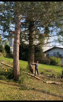 Gartenpflege Ernst