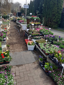 Francken Blumen GmbH