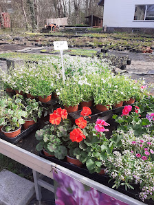 Francken Blumen GmbH
