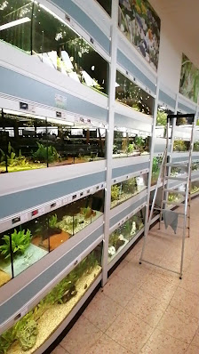 Dehner Garten-Center