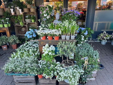 Blumen-Kröger