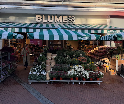BLUME2000 Hamburg Tibarg