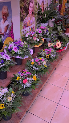Celik Blumenparadies