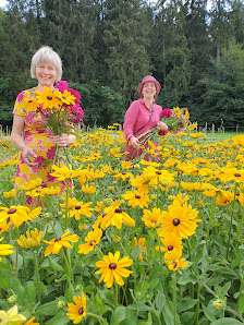 Gärtnerei Huese Schnittblumen