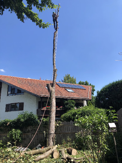 Betrieb für Baumarbeiten