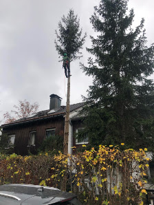 Bens Baumpflege - Fällungen, Heckenschnitt uvm.