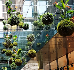 Planter`s Punch München Mietpflanzen Raumbegrünung
