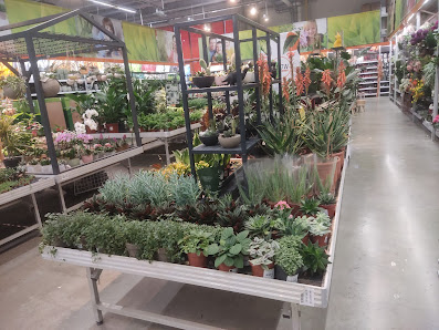 OBI Gartencenter München Trudering