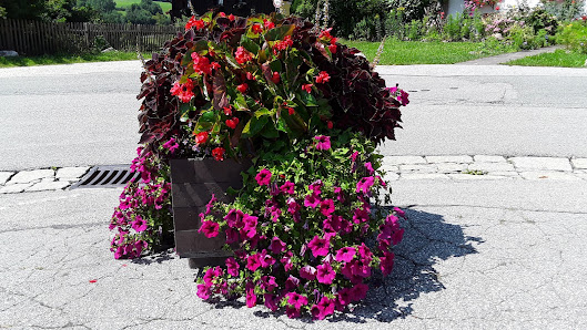 Blütenzauber
