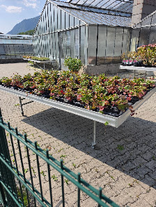 Naturgärtnerei Ziegler