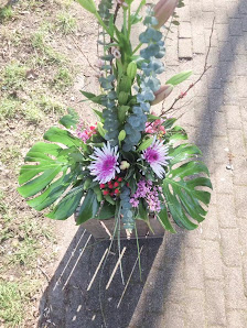 Blumen Tibarg 2018