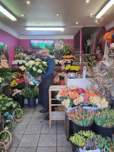 Blumen Tibarg 2018