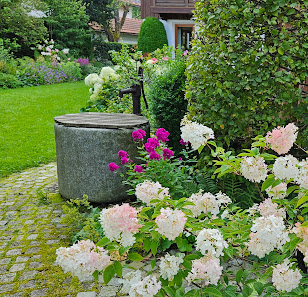 Dreilich Garten- und Landschaftsbau Gbr