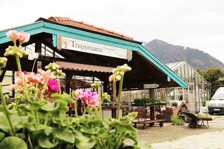 Trappmann Gartenbau & Gärtnerei