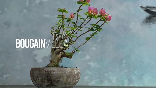 Bonsai Garten Inh. Anja Tobien