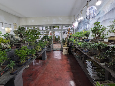 Bonsai Garten Inh. Anja Tobien