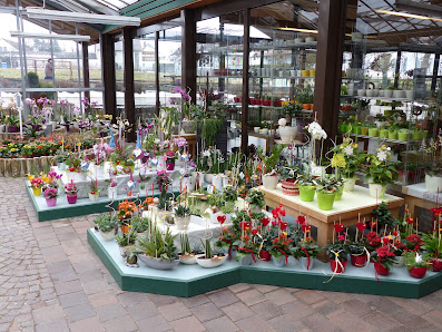 Blumenmarkt Unger