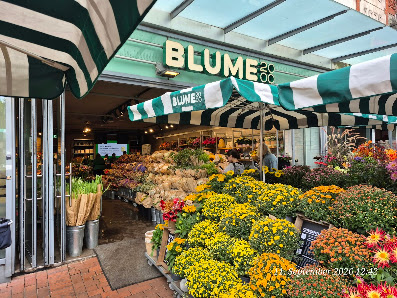 BLUME2000 Hamburg Bahnhof Altona
