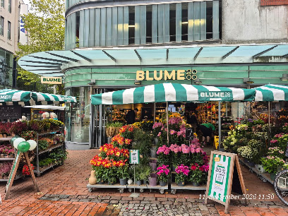 BLUME2000 Hamburg Bahnhof Altona