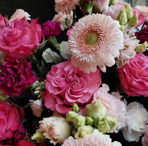 Meyer Julia Blumenladen Pusteblume