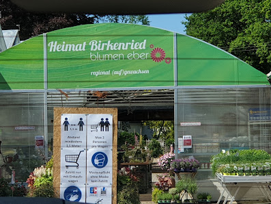Blumen Eber