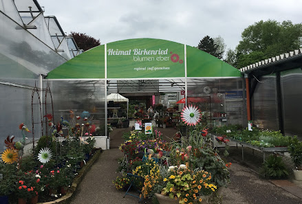 Blumen Eber