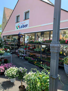 Blumenhaus Lober (Fleuropfachgeschäft)