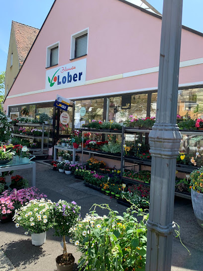Blumengeschäft