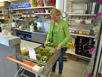 egesa garten Gärtnerei Unflath