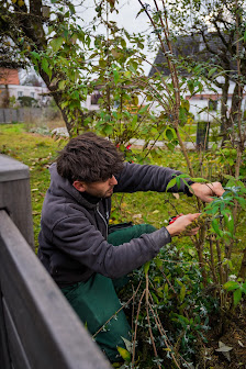 Luca's Garten und Baumpflege