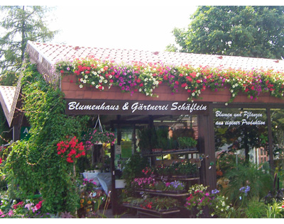 Blumenhaus & Gärtnerei Schäflein