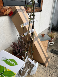 Südflora Baumschule