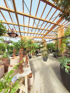 Pflanzen Weiglein GmbH