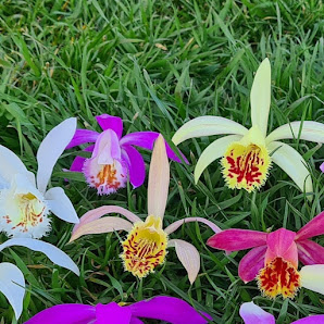 Gartenwerkstatt Schreiner, Inhaberin Sabine Schreiner