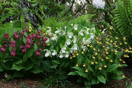 Gartenwerkstatt Schreiner, Inhaberin Sabine Schreiner