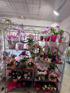 Blumenecke Hirschaid