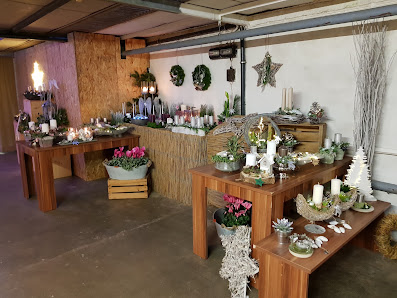 Blumen Kraus