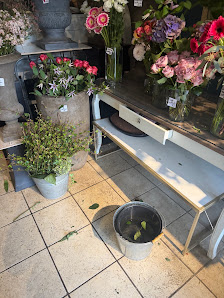 Blumen Seerose