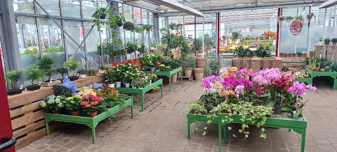 Blumen Kaltenbeck