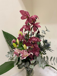Hanse Blume
