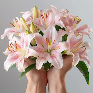 Blumenladen LiLie