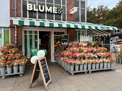BLUME2000 Hamburg Hoheluft