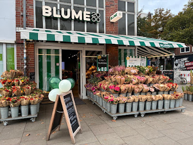 BLUME2000 Hamburg Hoheluft