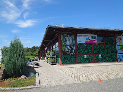 Weiden in der Oberpfalz