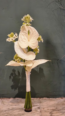 Hanseflora