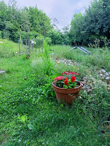 Garten- und Landschaftsbau Adrian Schroth