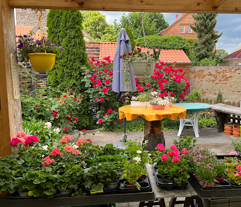 Blumenstube Inh. Petra Baier